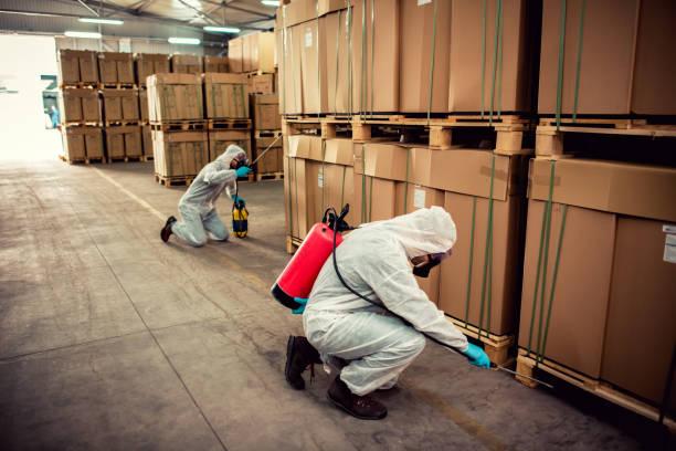Best Exterminator Services  in Red Bluff, CA