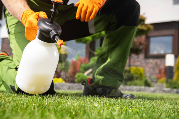 Best Rodent Control Near Me  in Red Bluff, CA