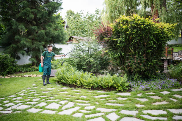 Best Mosquito Control Services  in Red Bluff, CA