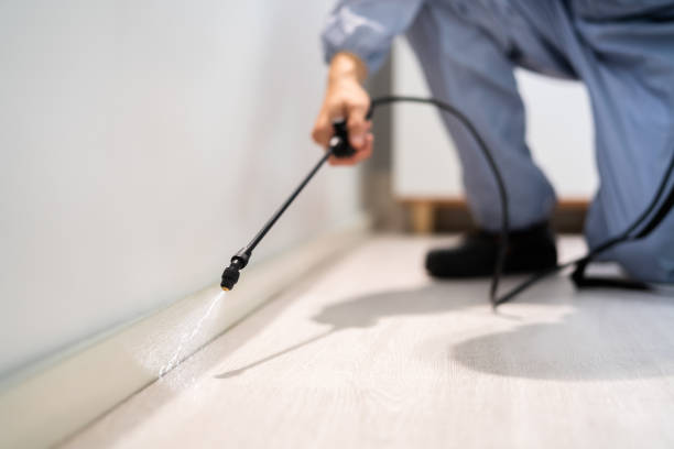 Pest Prevention Services in Red Bluff, CA