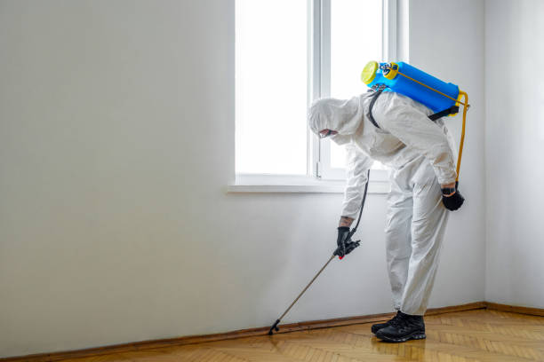 Best Mosquito Control Services  in Red Bluff, CA