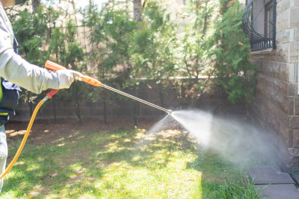 Best Affordable Pest Control Services  in Red Bluff, CA
