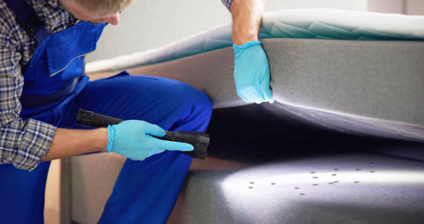 Best Ant Control Services  in Red Bluff, CA