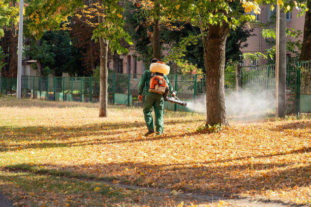 Reliable Red Bluff, CA Pest Control Solutions