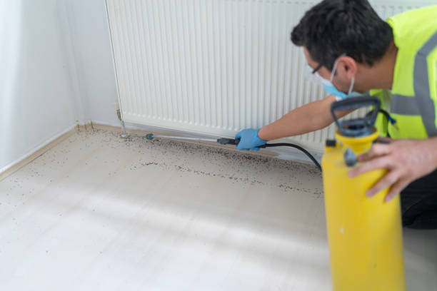  Red Bluff, CA Pest Control Pros