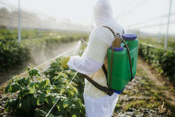 Best Local Pest Control Services  in Red Bluff, CA